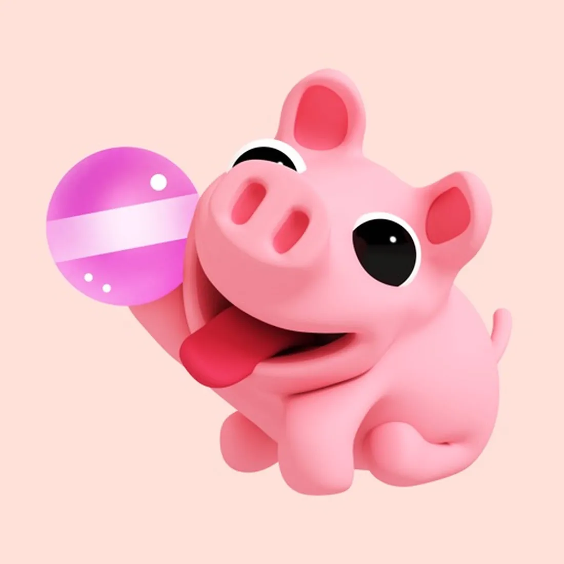 Cute Pig