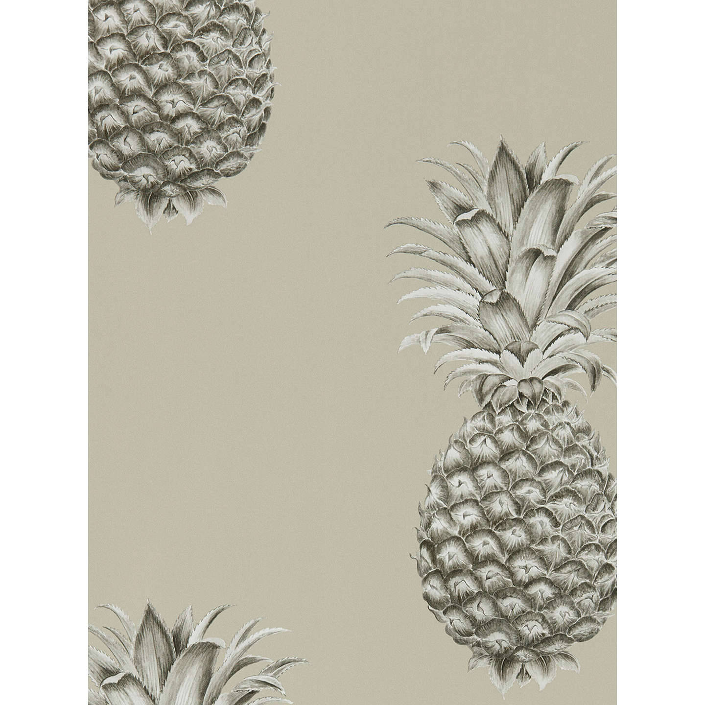 pineapple, monochrome, muted beige background, HD Desktop Wallpaper