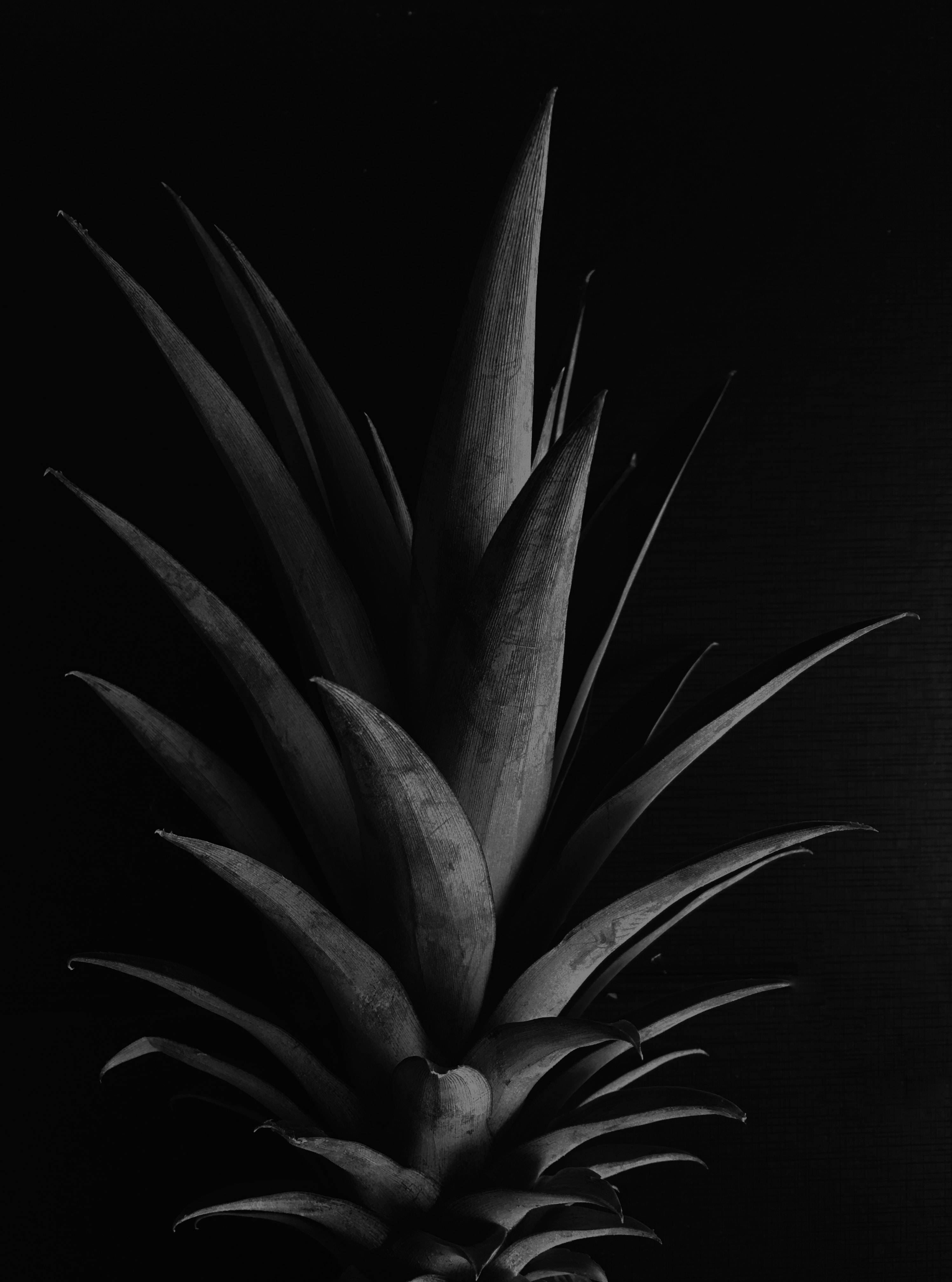 pineapple crown, black, white, 4K Phone Wallpaper