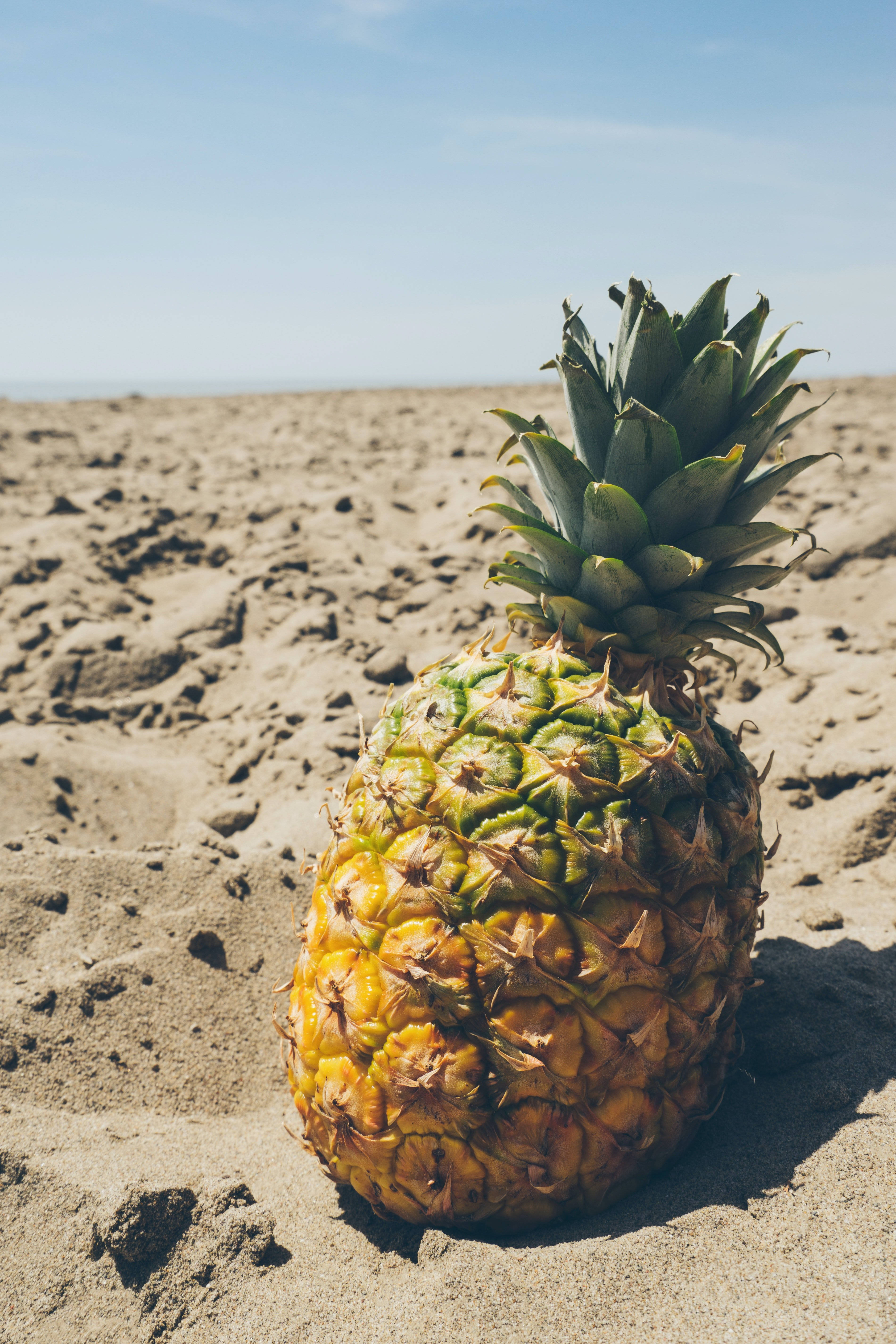 summer vibes pineapple, ripe pineapple, sunlit sand, 5K Phone Wallpaper