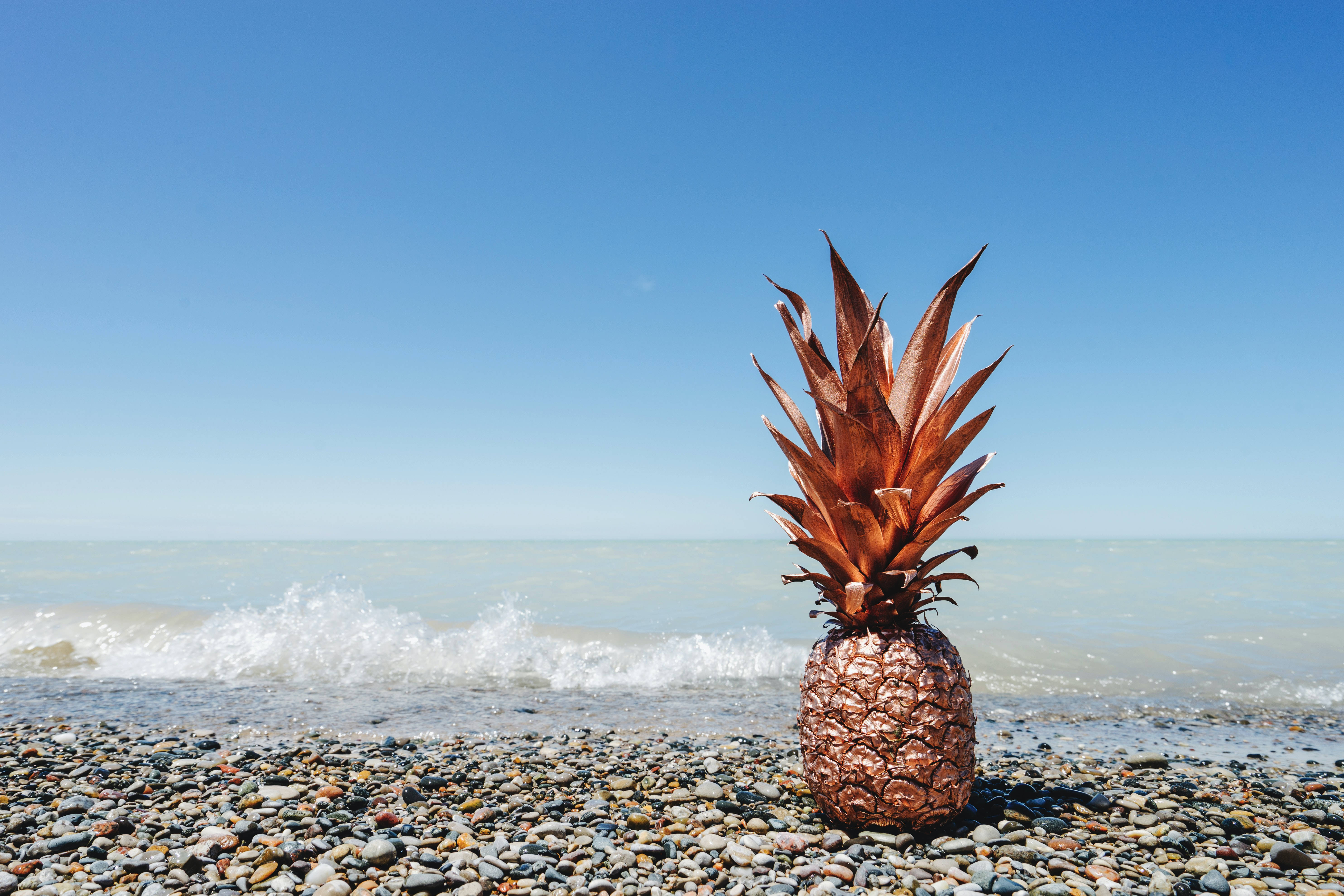 pineapple, rocky shore, copper-colored, 5K Desktop Wallpaper