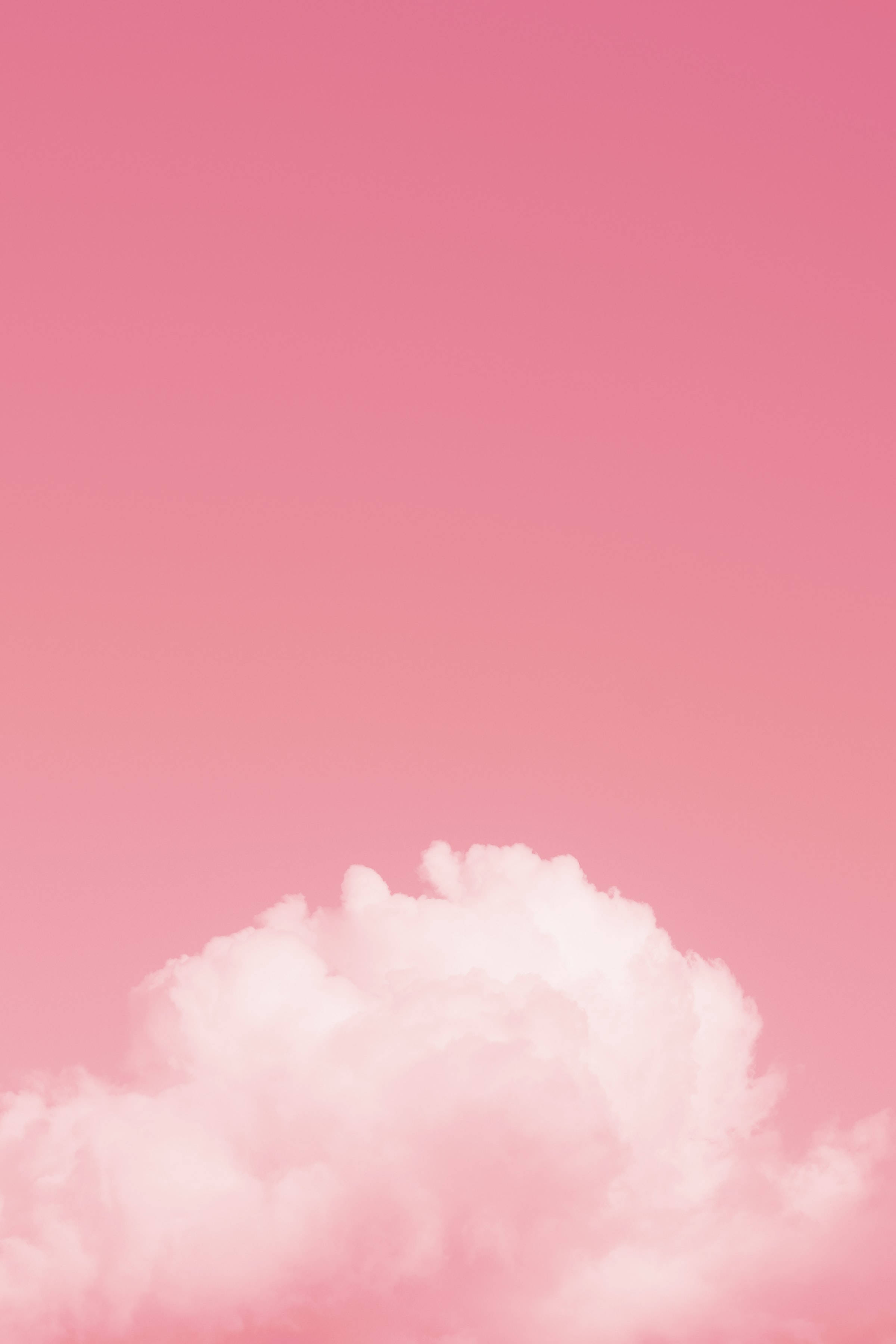 Cute Pink Aesthetic, white fluffy cloud, gradient pink sky, 2K Phone Wallpaper