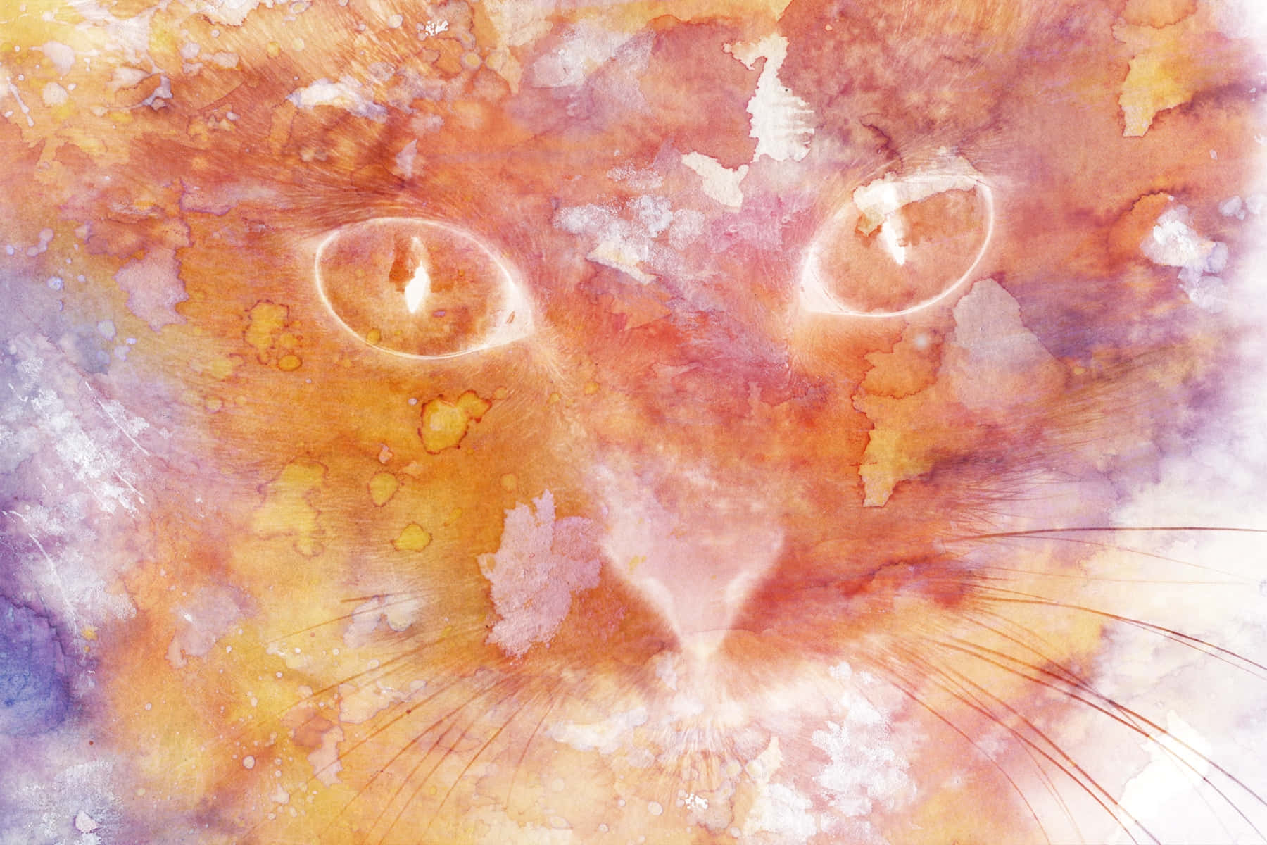 abstract watercolor cat eyes, glowing eyes, soft orange purple hues, HD Desktop Wallpaper