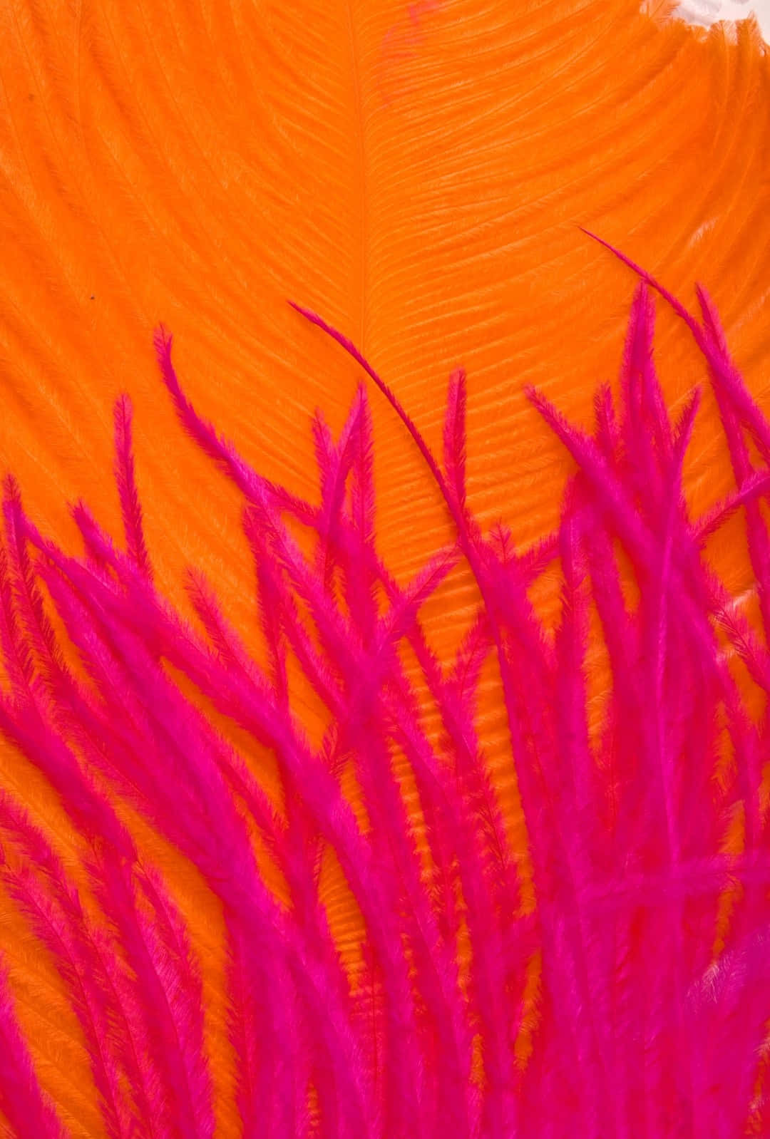 vibrant magenta feather strands, textured orange feather background, bold abstract composition, HD Phone Wallpaper