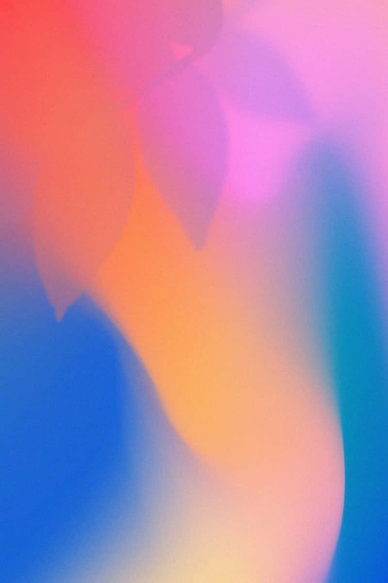 pink orange gradient, abstract gradient, soft blurred leaf silhouettes, SD Phone Wallpaper