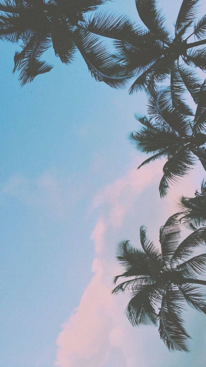 magical sunset, cute pink cloud, pastel sky, SD Phone Wallpaper