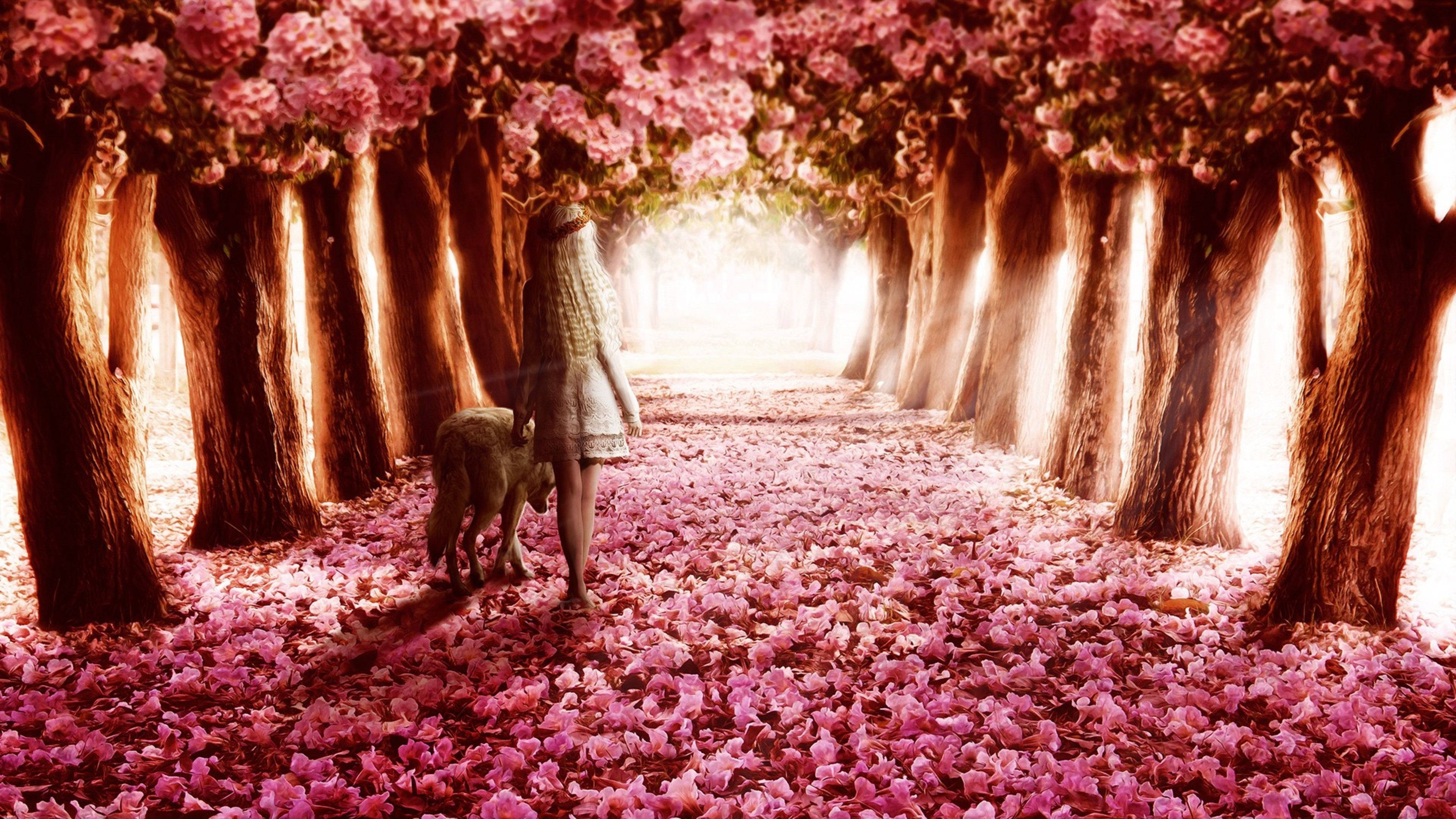 girl, cute pink flower, sunlit path, 4K Desktop Wallpaper