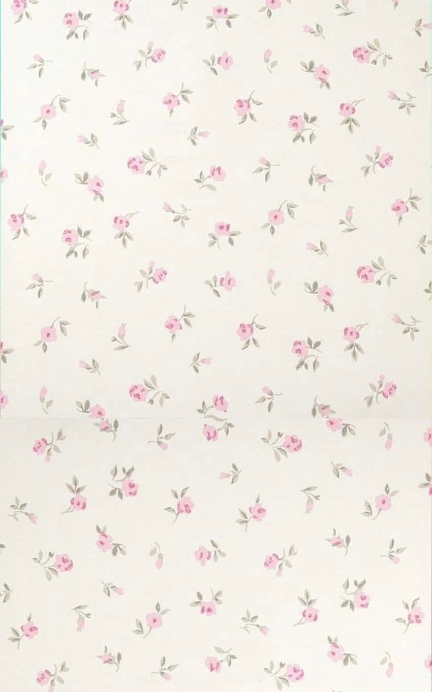 pink roses, green stems, creamy off-white background, HD Phone Wallpaper