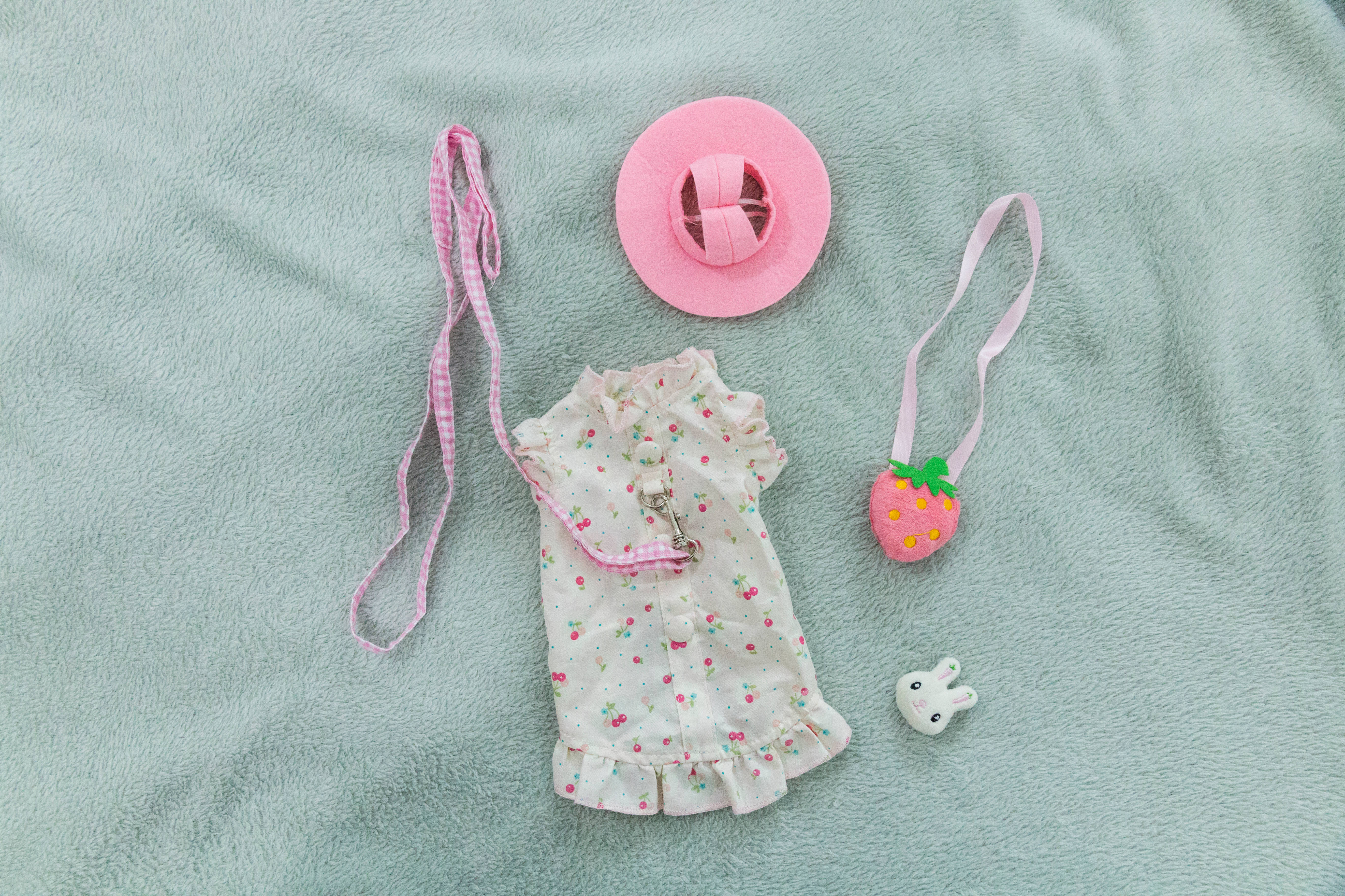 pastel pink, white floral pet outfit, matching accessories, 5K Desktop Wallpaper