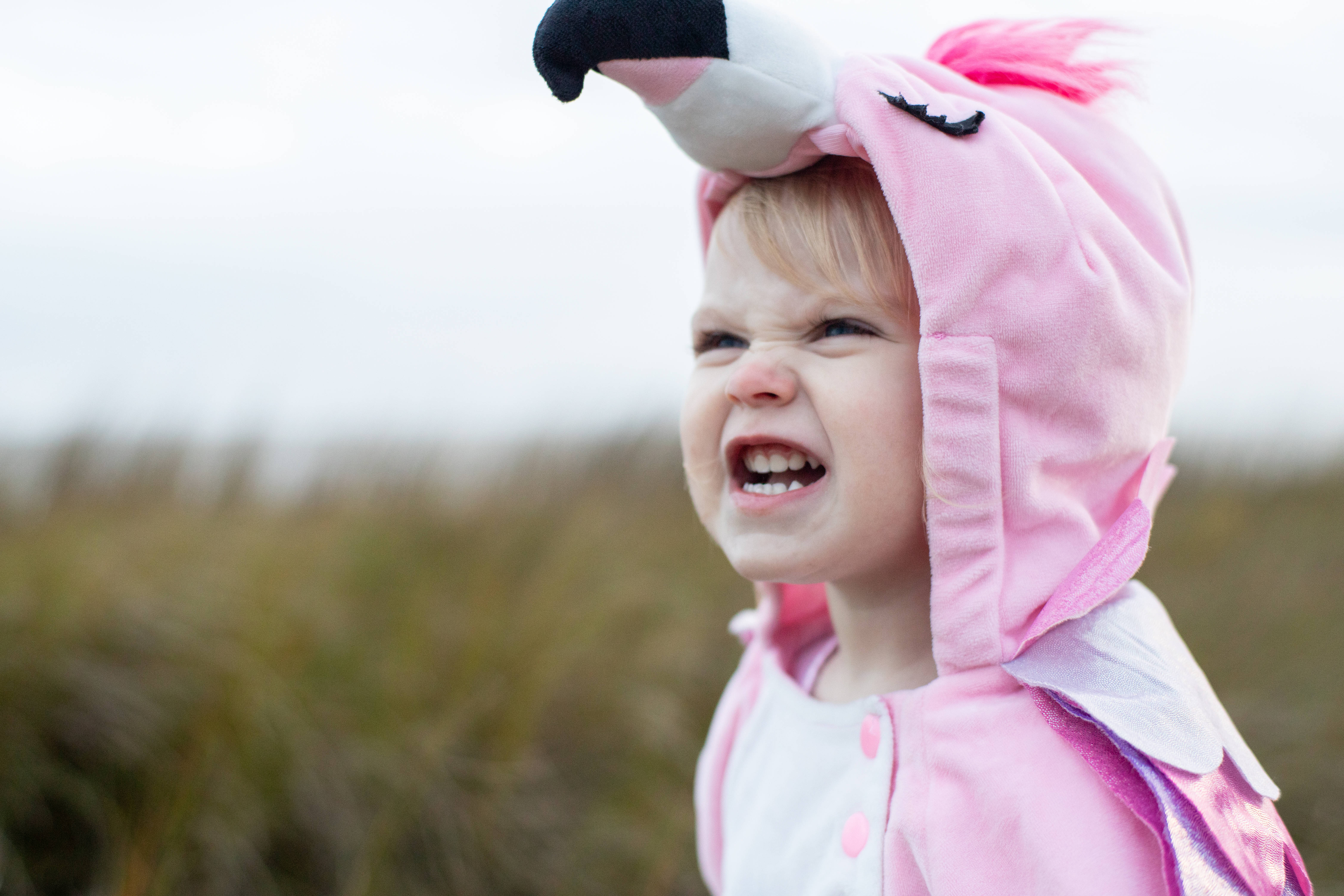 pink flamingo onesie, toddler, blurred grassy field, 5K Desktop Wallpaper