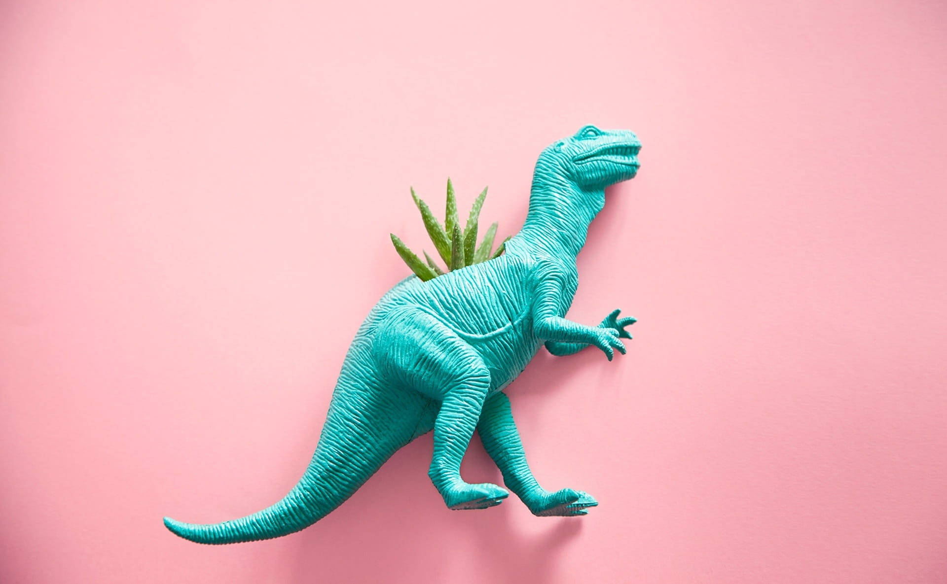 Cute Pink Dinosaur T-rex Plant, turquoise plastic dinosaur toy, small green plant, Full HD Desktop Wallpaper