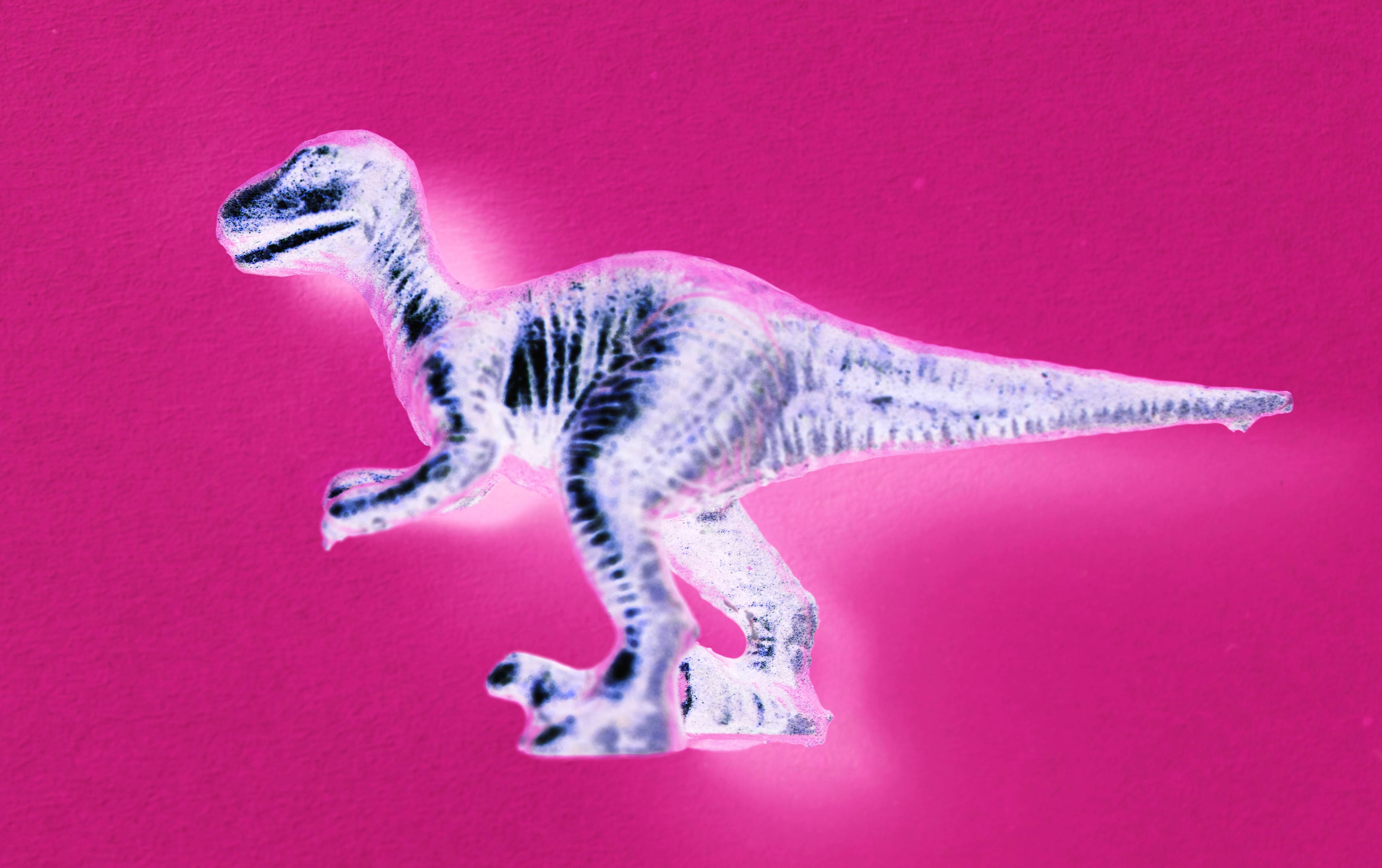 cute pink dinosaur, translucent plastic, black stripes, 2K Desktop Wallpaper