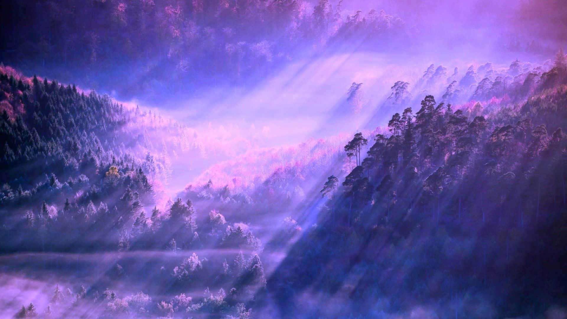 purple sky, purple trees, rays of light, Full HD Desktop Wallpaper