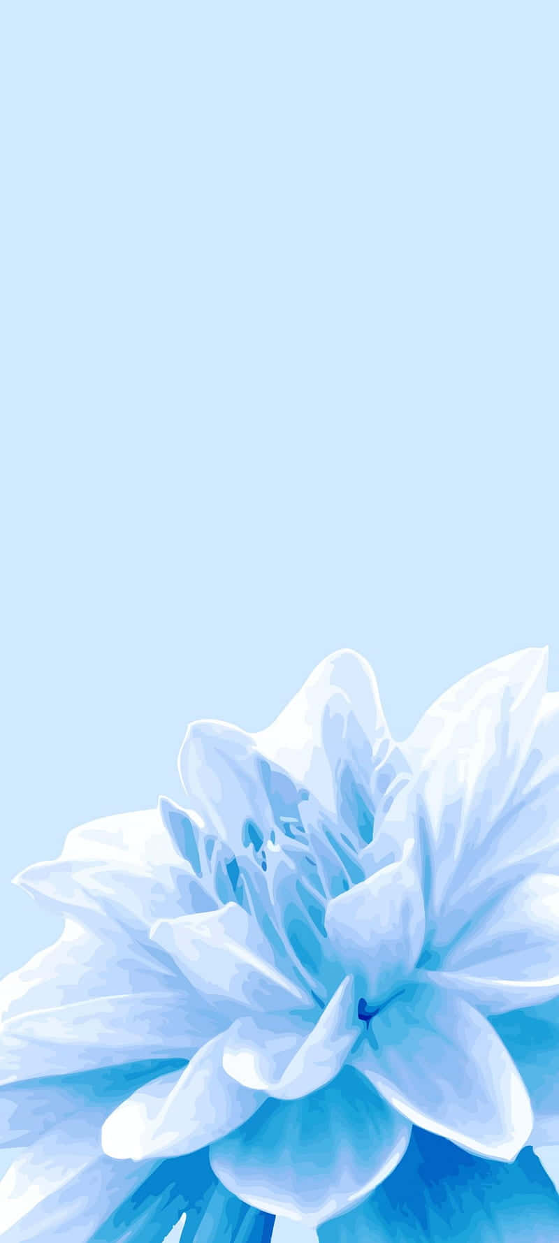 cute plant, blue flower, light blue sky, HD Phone Wallpaper