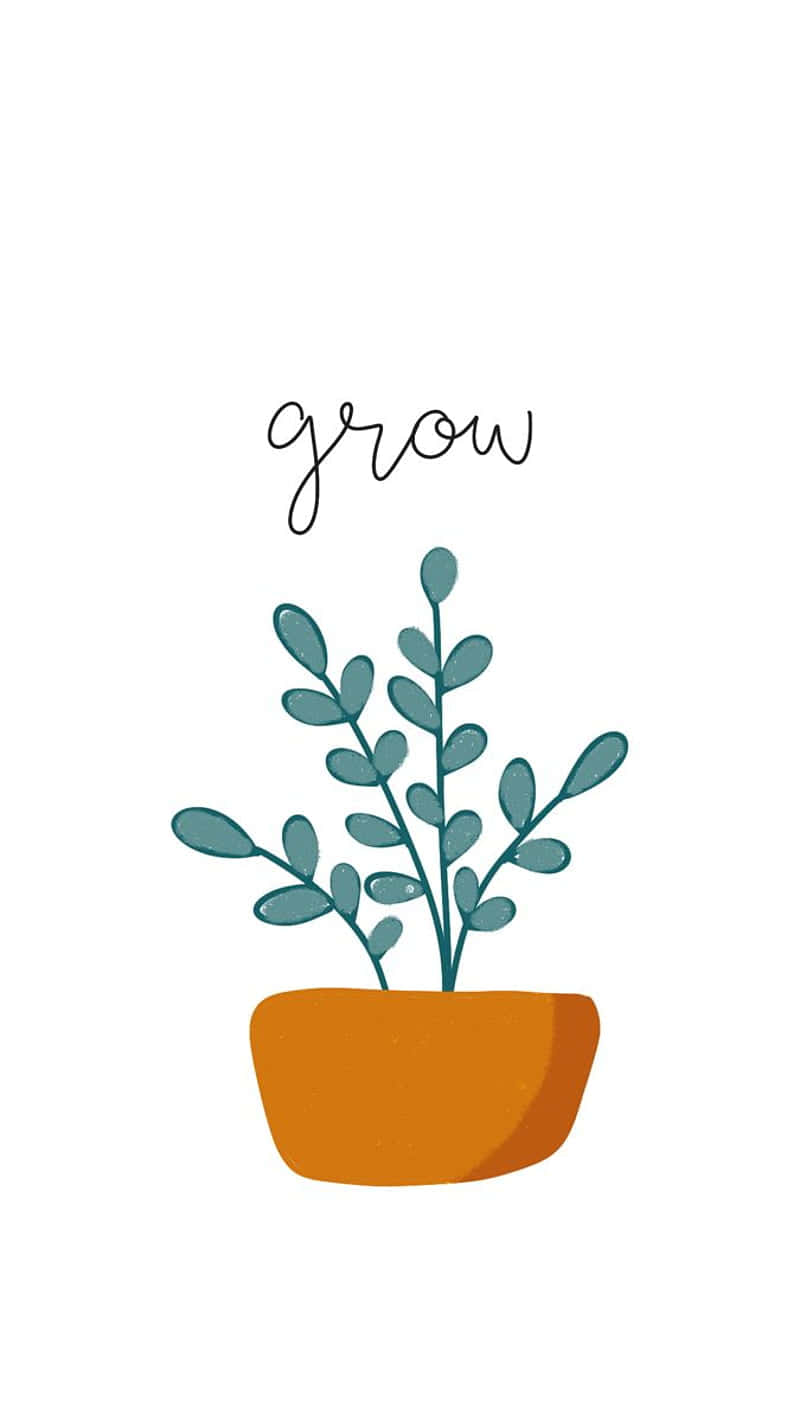 teal leafy plant, orange pot, grow, HD Phone Wallpaper