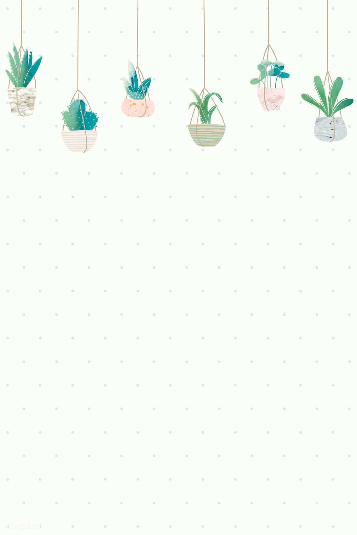 hanging plants, patterned pots, soft dot-patterned background, HD Phone Wallpaper