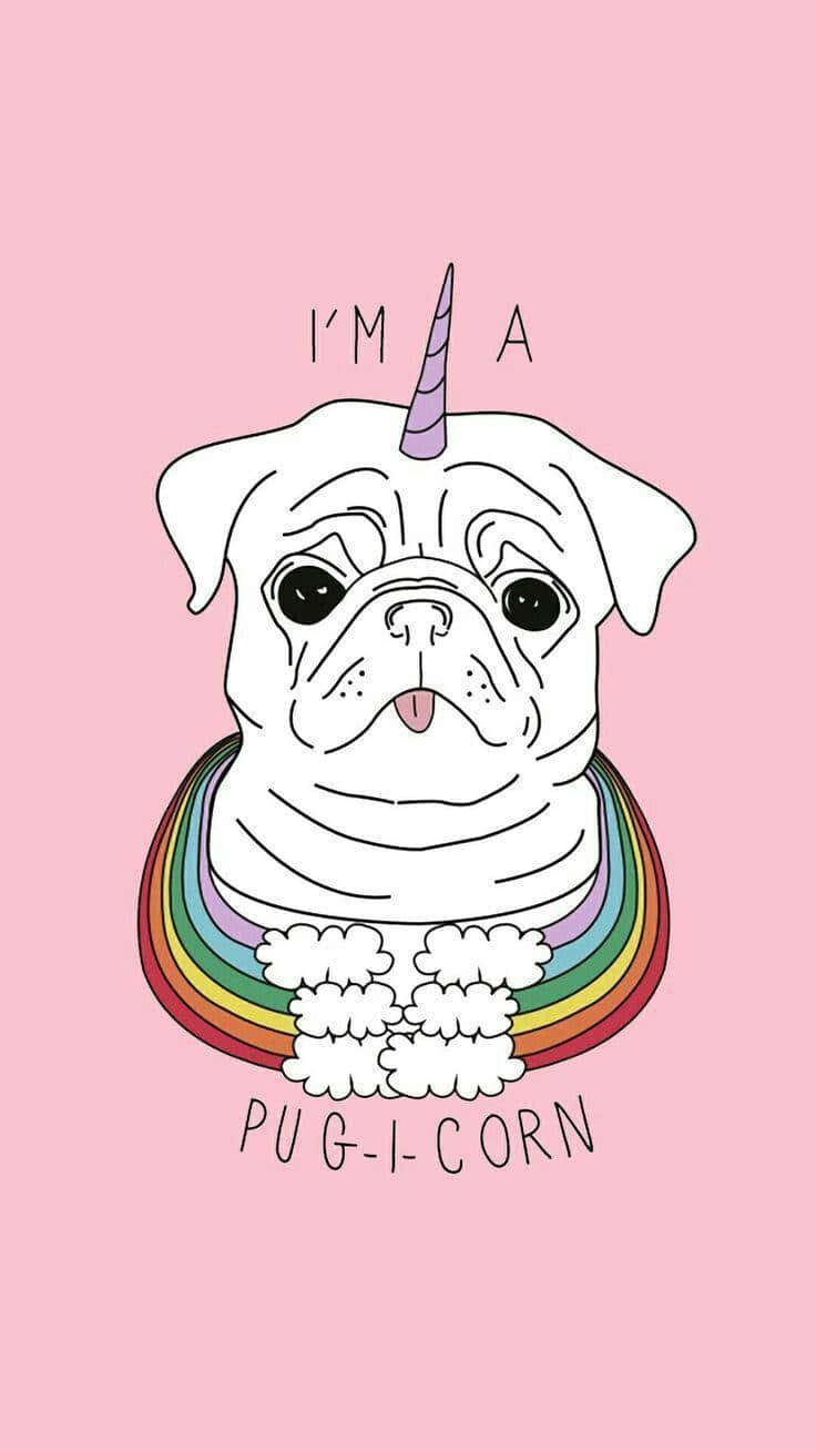 cute pug, unicorn horn, rainbow collar, HD Phone Wallpaper