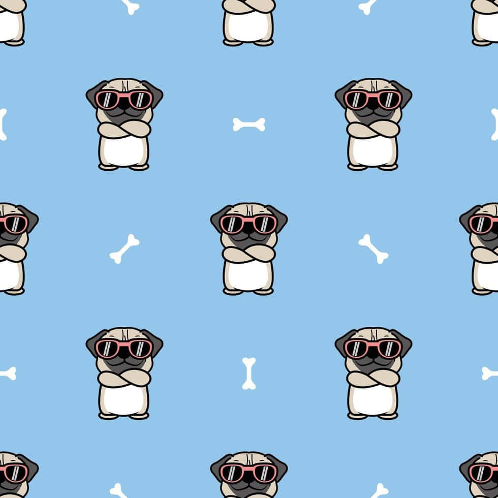 cute pug, red sunglasses, light blue background, SD Desktop Wallpaper