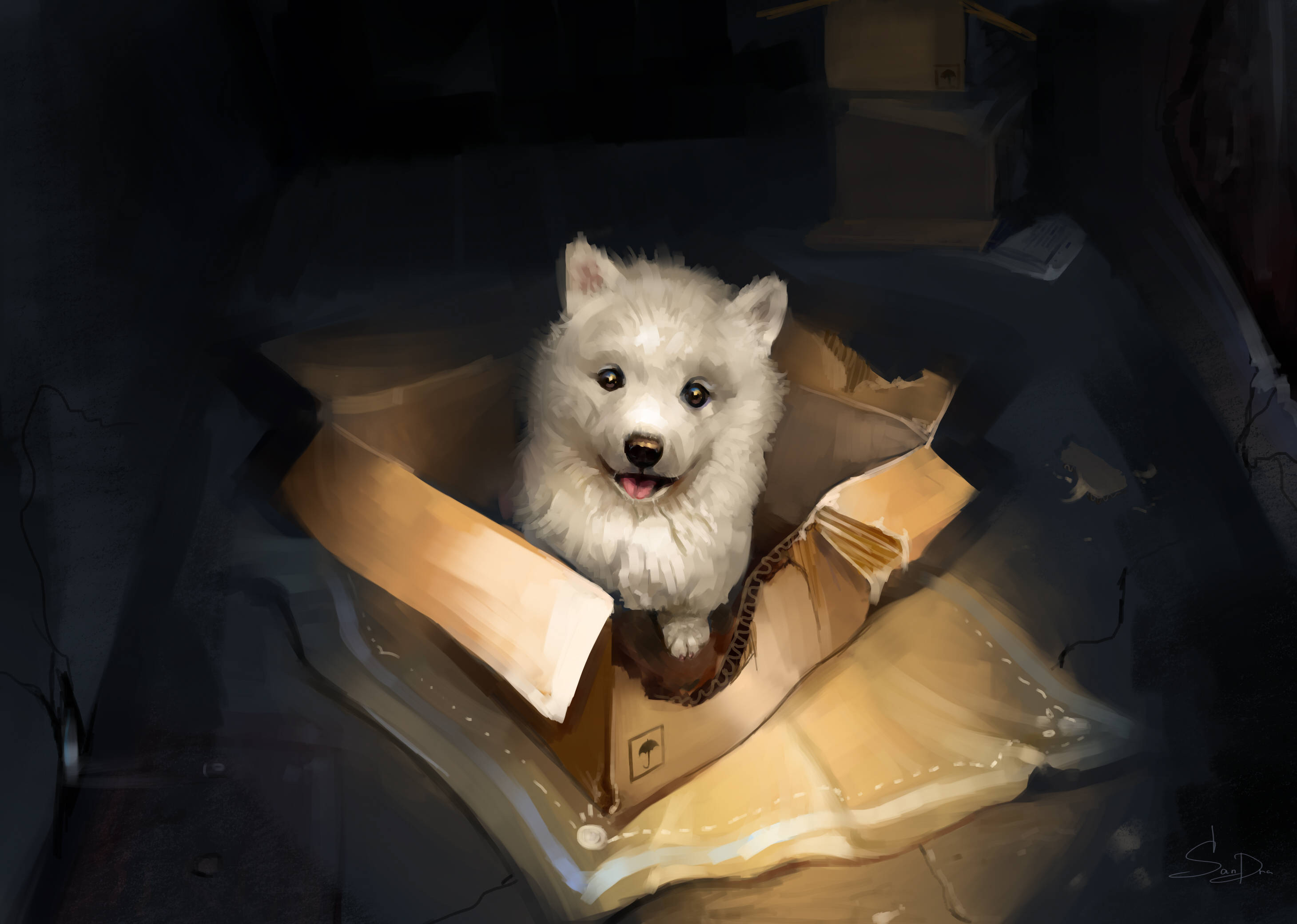 white cute puppy, cardboard box, dimly lit room, 2K Desktop Wallpaper