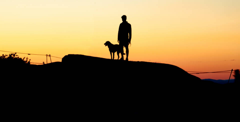 man, cute puppy, sunset, SD Desktop Wallpaper