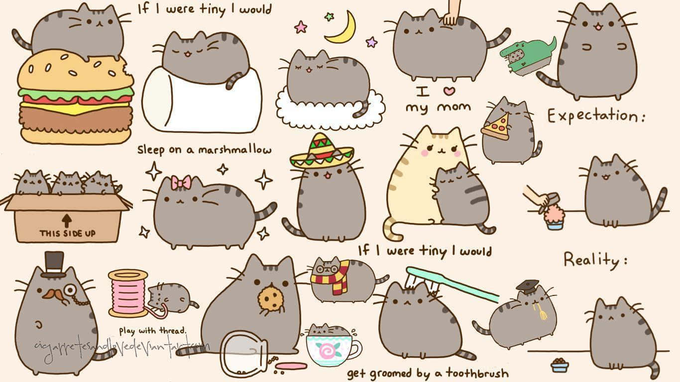Pusheen, cat illustrations, computer, HD Desktop Wallpaper