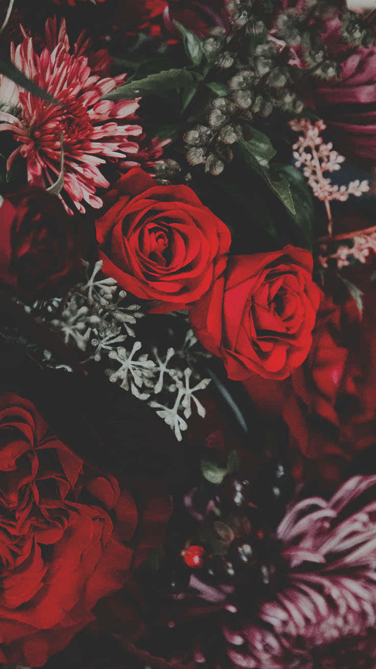 cute red phone, deep red roses, white flowers, HD Phone Wallpaper