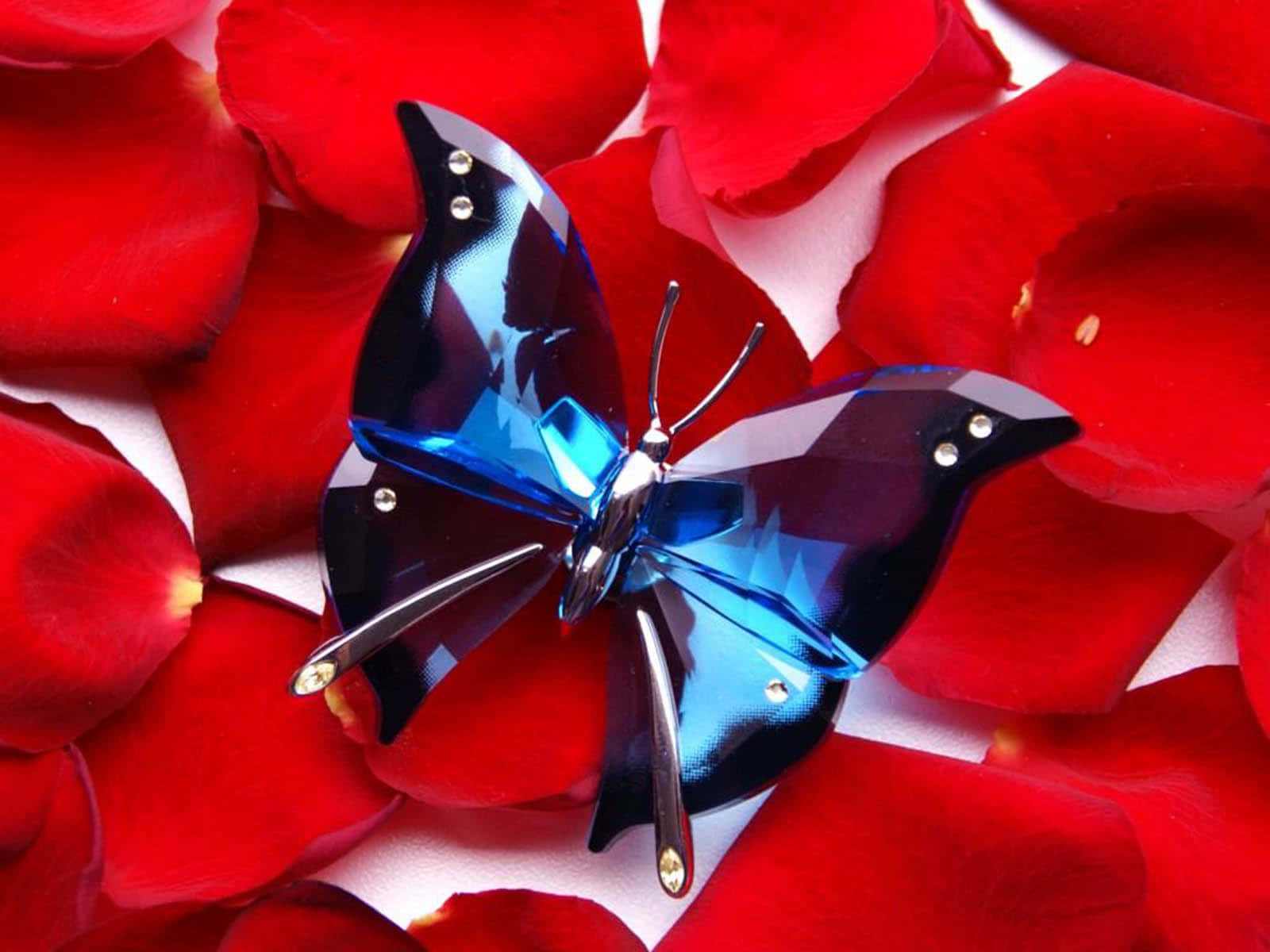 Cute Red Brooch, faceted blue crystal butterfly, vibrant red rose petals, HD Desktop Wallpaper