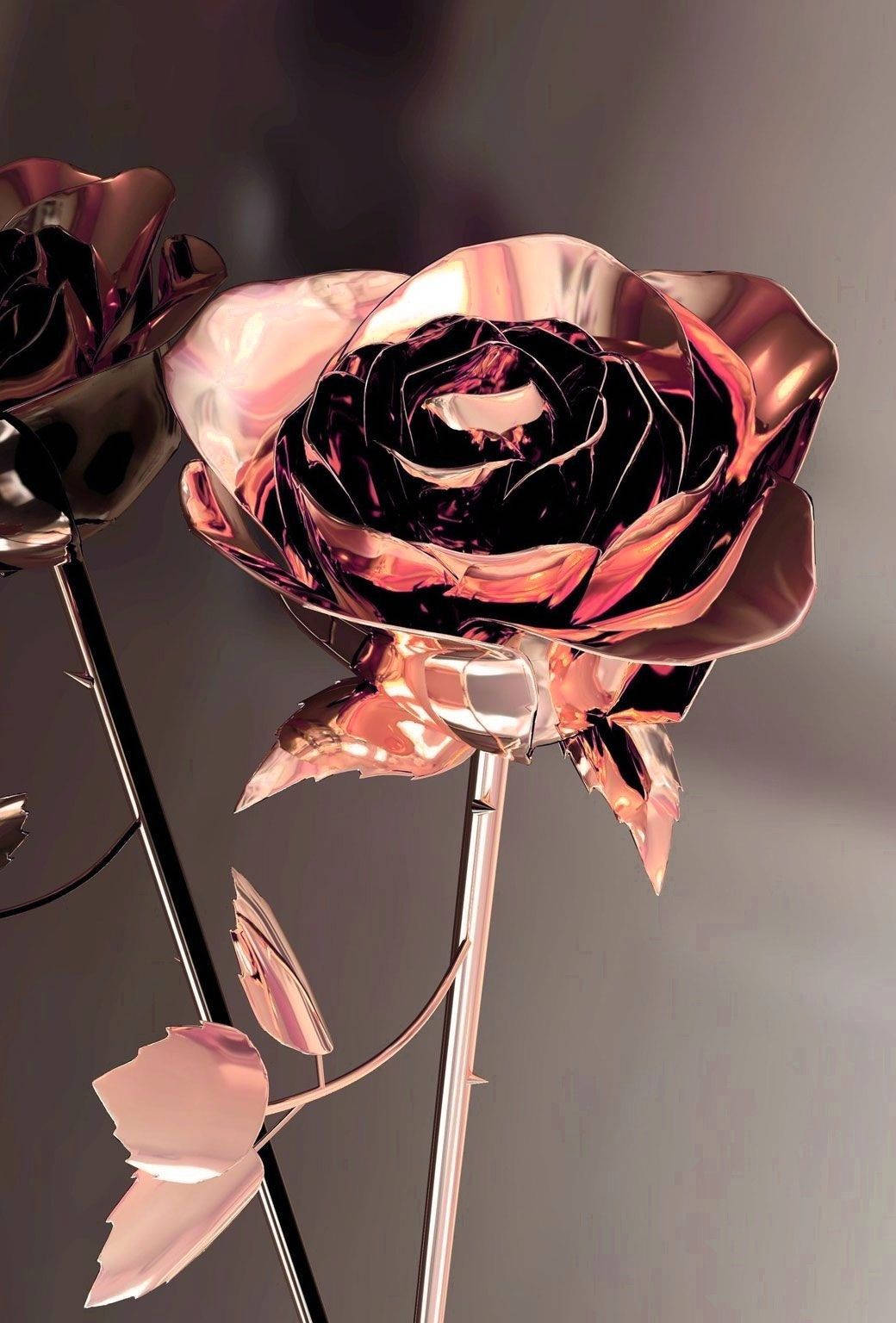 rose gold, metallic rose, black center, HD Phone Wallpaper