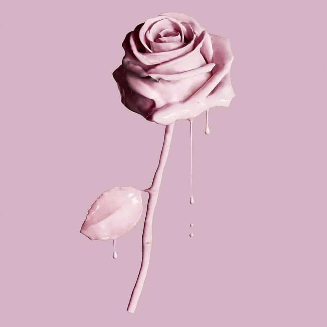 rose gold, dripping paint droplets, glossy pink rose, SD Desktop Wallpaper