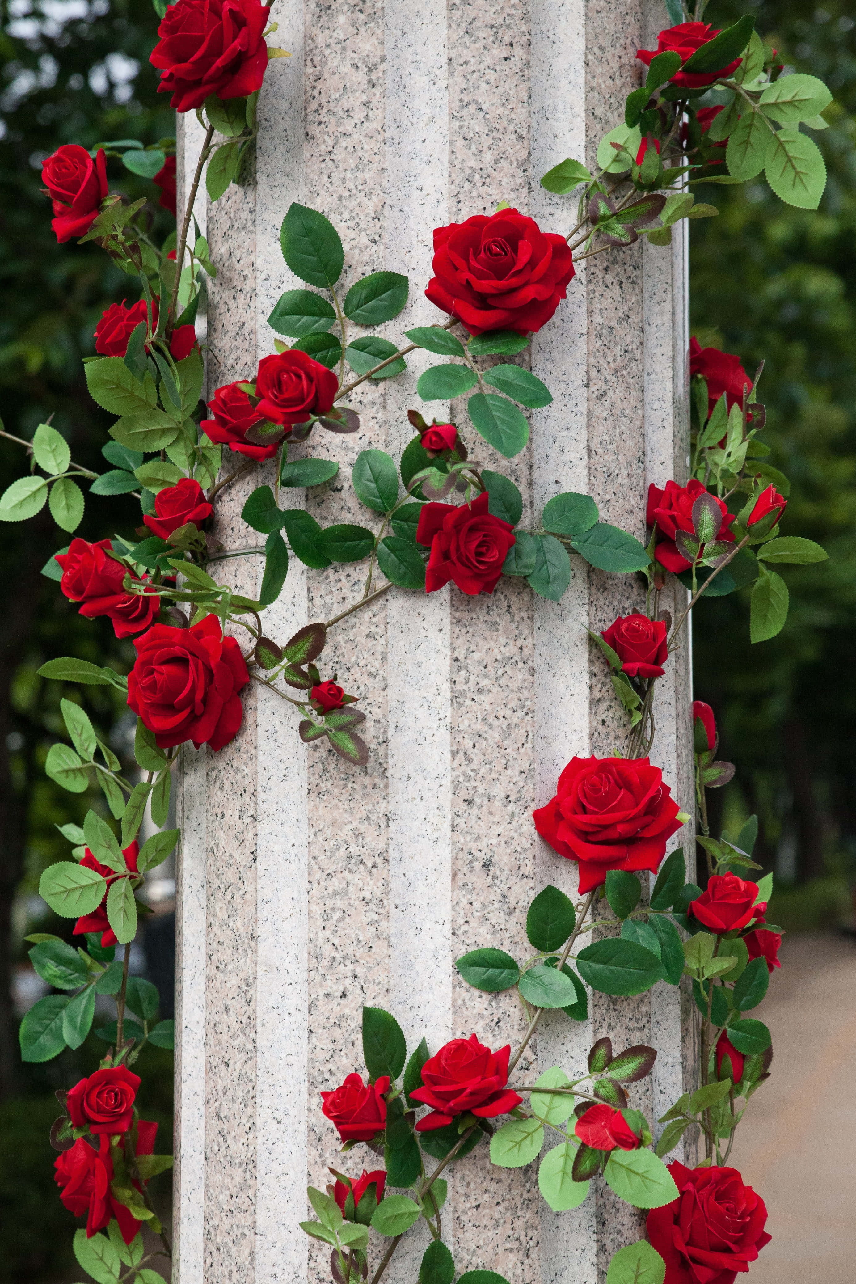 Cute Rose, vibrant red roses, textured stone pillar, 4K Phone Wallpaper
