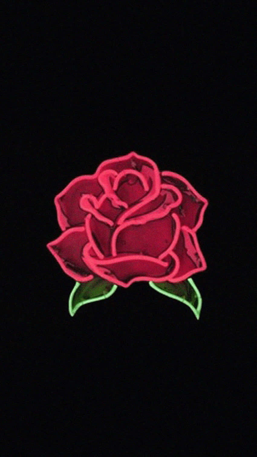 neon pink rose, green leaves, solid black background, HD Phone Wallpaper