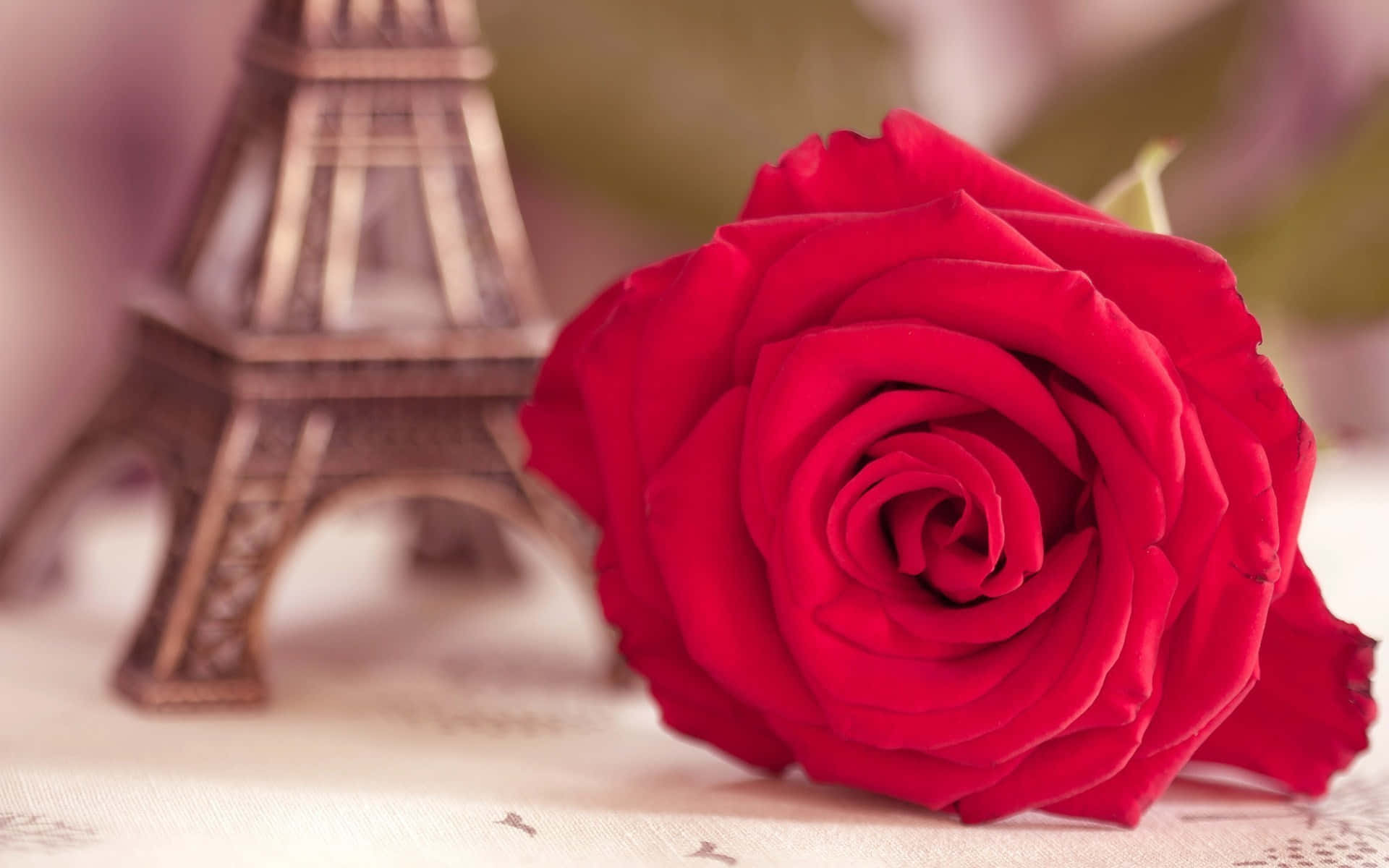 vivid red rose, miniature Eiffel Tower, patterned tablecloth, Full HD Desktop Wallpaper