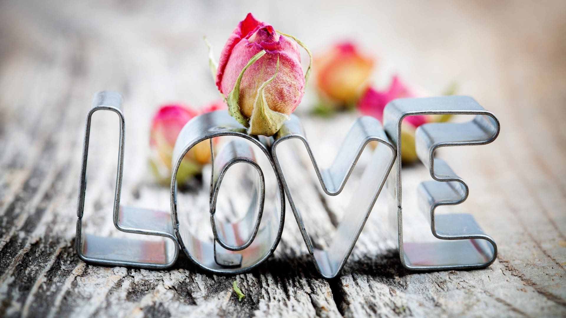 love, pink roses, metal cookie cutters, Full HD Desktop Wallpaper