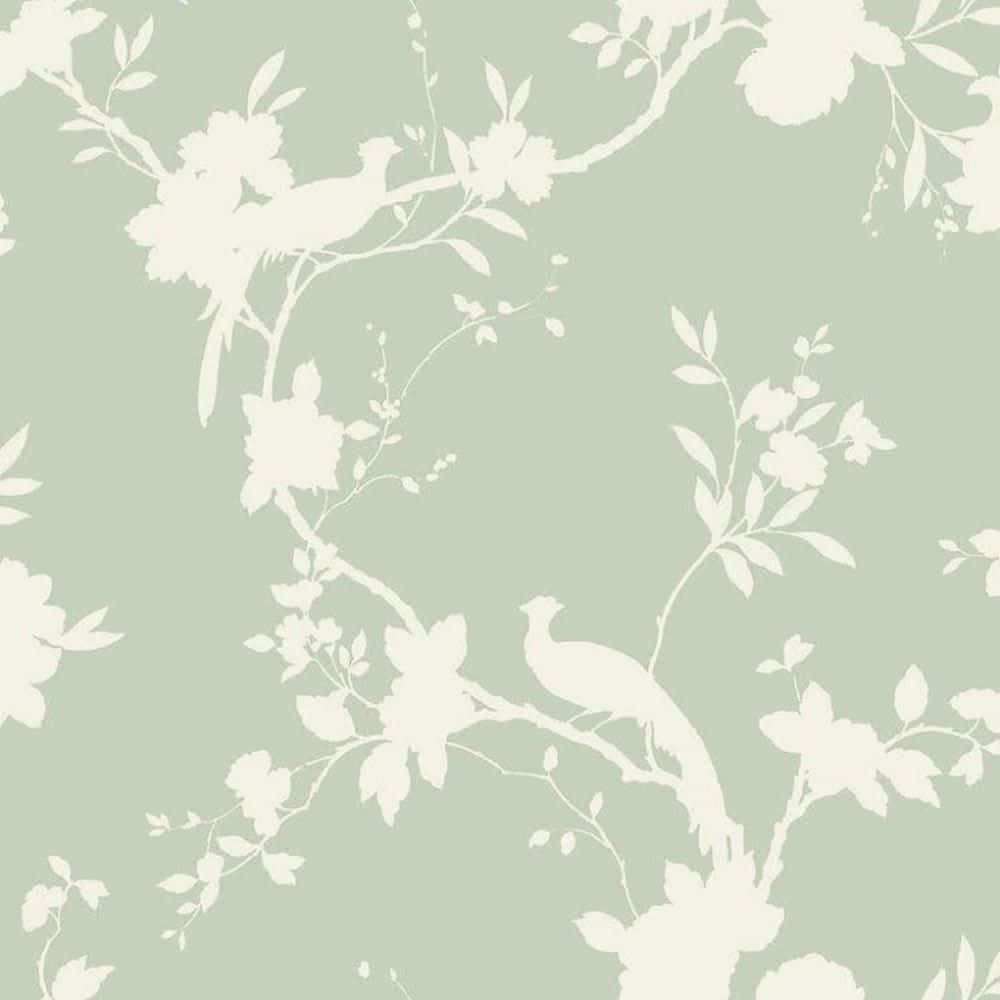 cute sage green paint, sage green wallpaper, white silhouettes of birds, SD Desktop Wallpaper