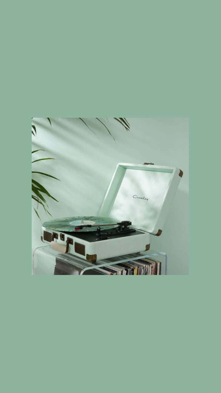 cute sage green portable turntable, vintage white portable record player, palm leaves, HD Phone Wallpaper