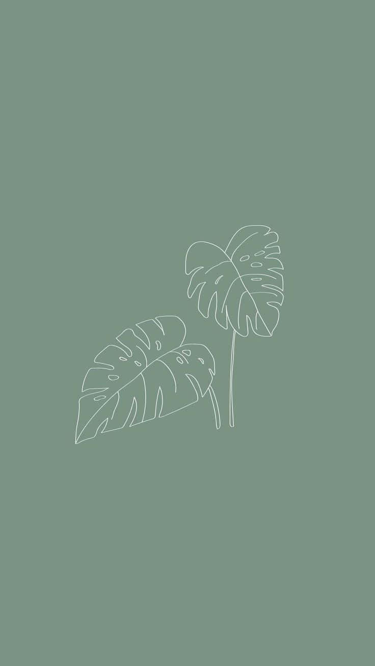 monstera leaves, sage green background, minimalist white outlined, HD Phone Wallpaper