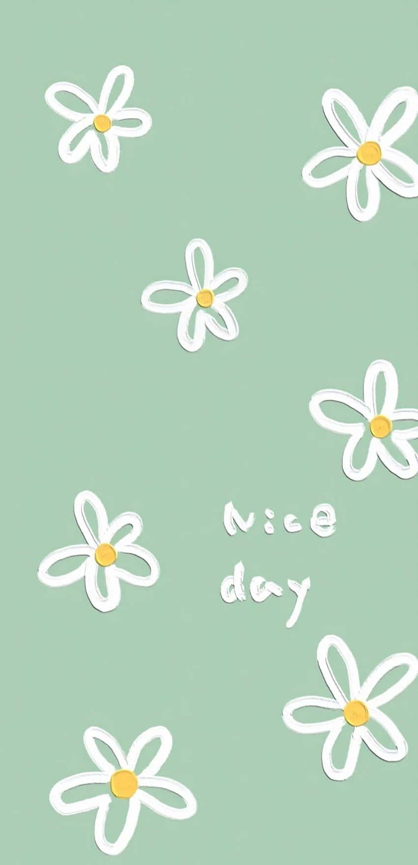 sage green, white daisies, mint green background, HD Phone Wallpaper