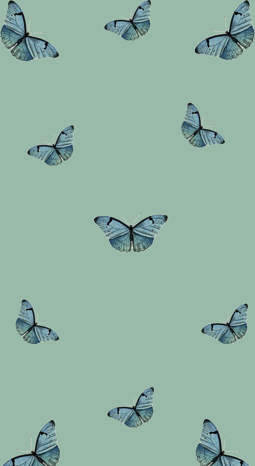 blue butterflies, black markings, soft mint green background, HD Phone Wallpaper