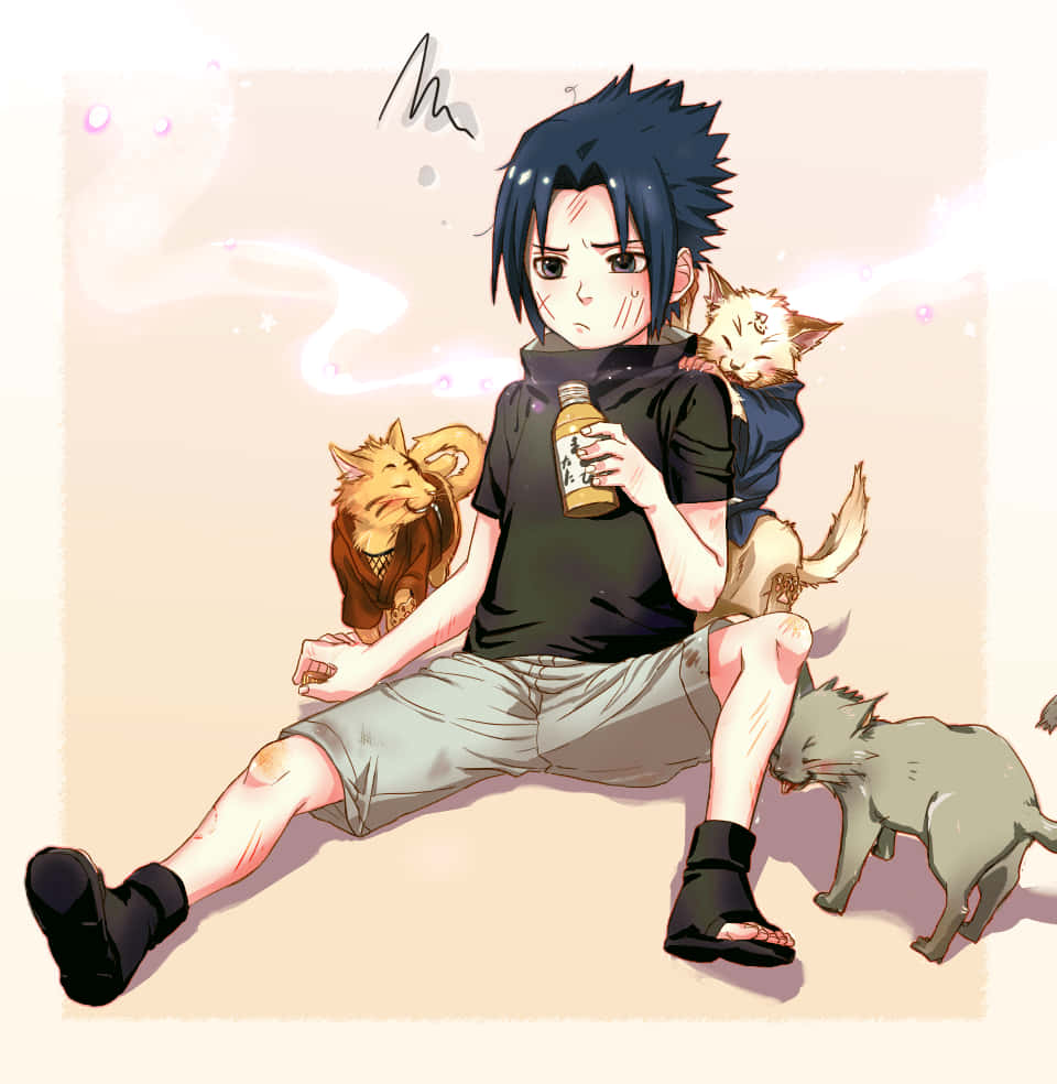 Sasuke, spiky black hair, three cats, SD Phone Wallpaper