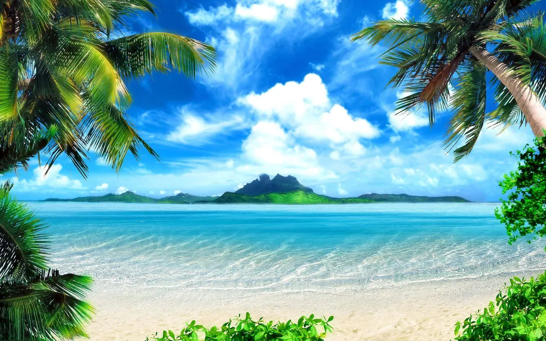 Cute Sea