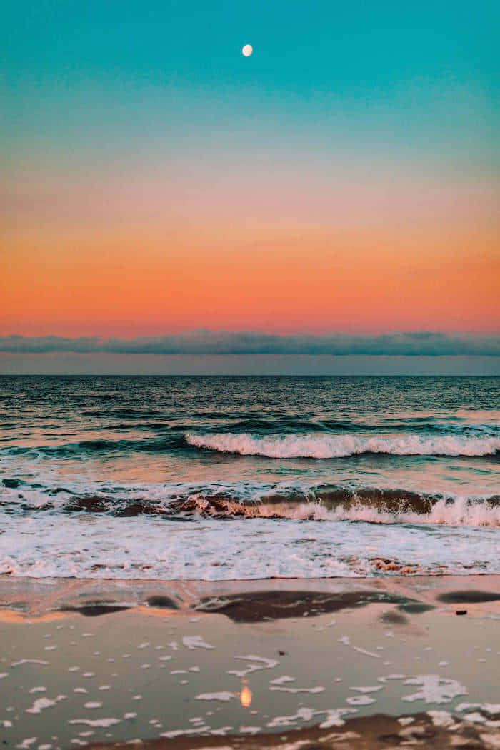 cute sea turtle, calm waves, twilight, SD Phone Wallpaper