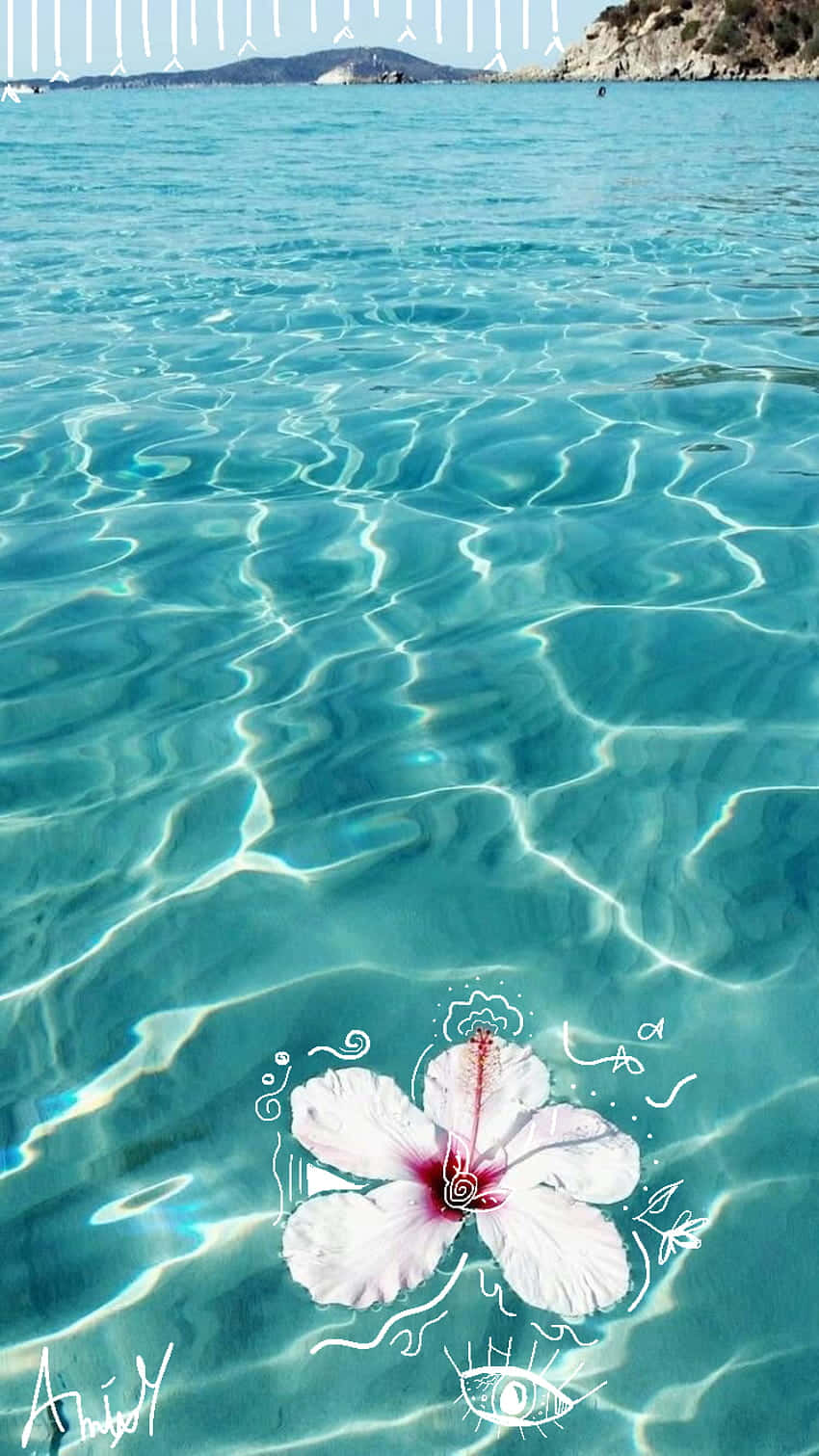 white hibiscus, pink center, crystal clear turquoise water, HD Phone Wallpaper