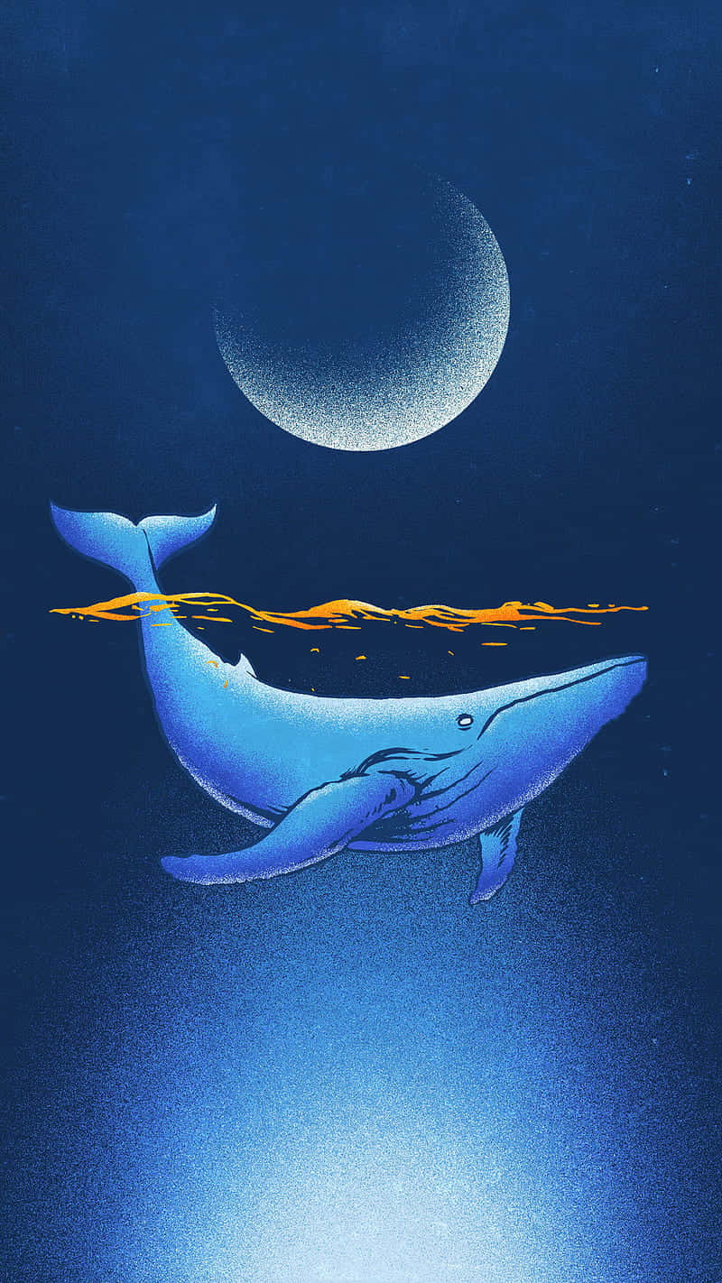 cute sea, blue whale, deep ocean waters, HD Phone Wallpaper