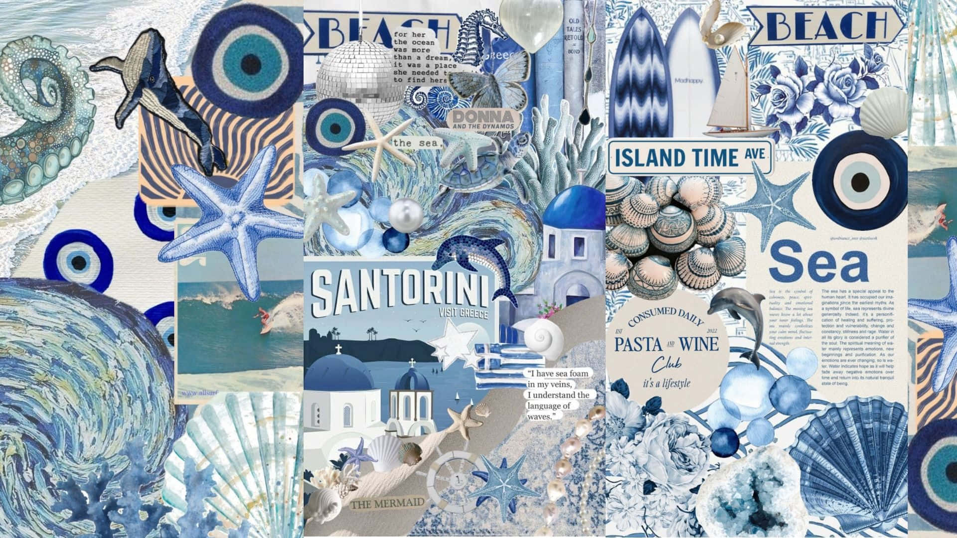 vibrant blue, white, seashells, Full HD Desktop Wallpaper