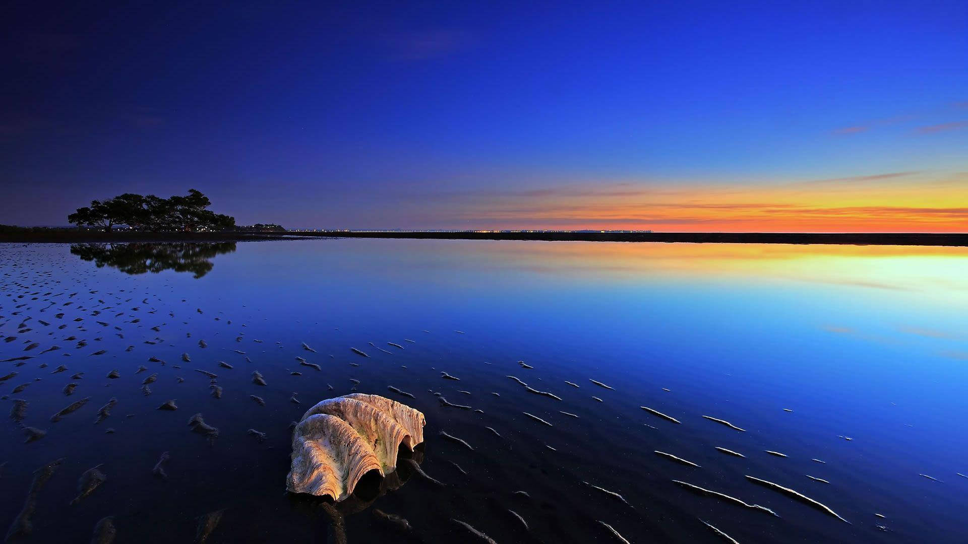 twilight lake, fiery orange and deep blue skies, lone shell, Full HD Desktop Wallpaper