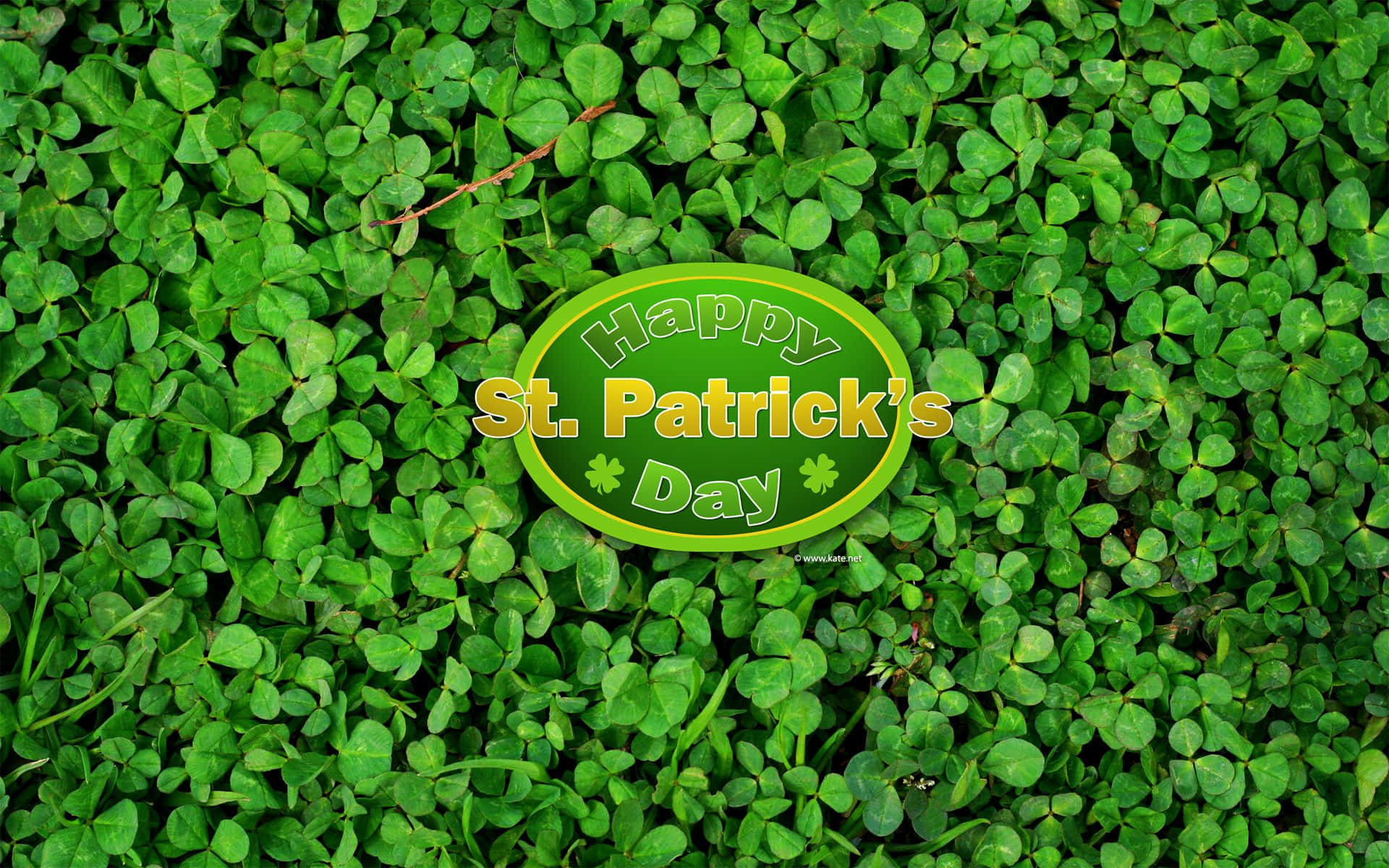 shamrock, Happy St. Patrick's Day, vibrant green, Full HD Desktop Wallpaper
