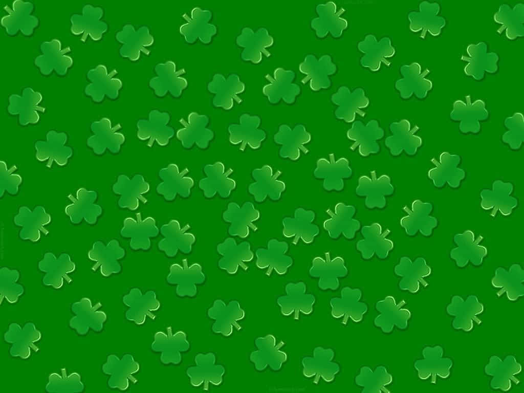 shamrock, four-leaf clovers, vibrant green, SD Desktop Wallpaper