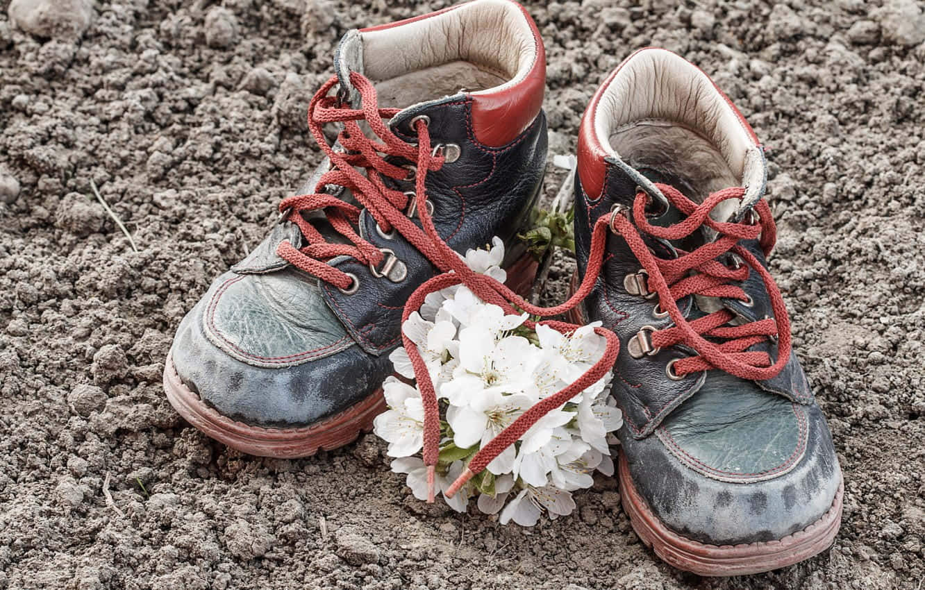 child's hiking boots, red laces, muddy soil, HD Desktop Wallpaper