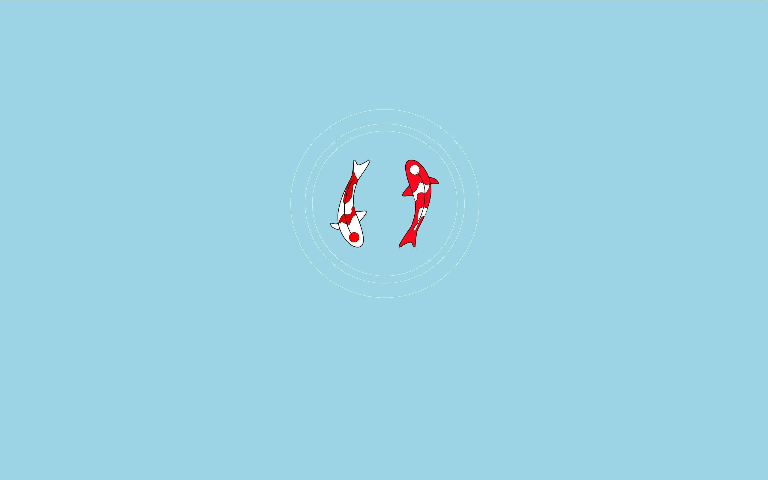 Cute Simple Koi Fish, koi fish, concentric circles, 2K Desktop Wallpaper