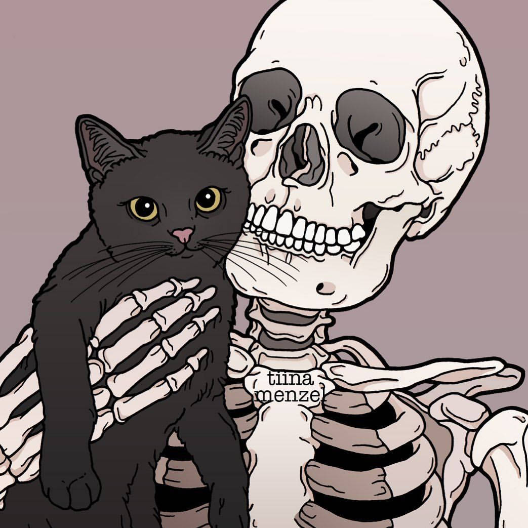 cute skeleton, black cat, yellow eyes, SD Desktop Wallpaper